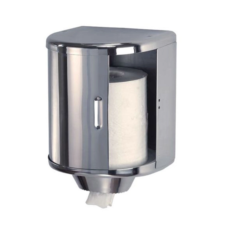Mediclinics poetsroldispenser wit DT0303